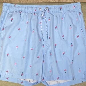 Light Blue Flamingo Print Swim Shorts